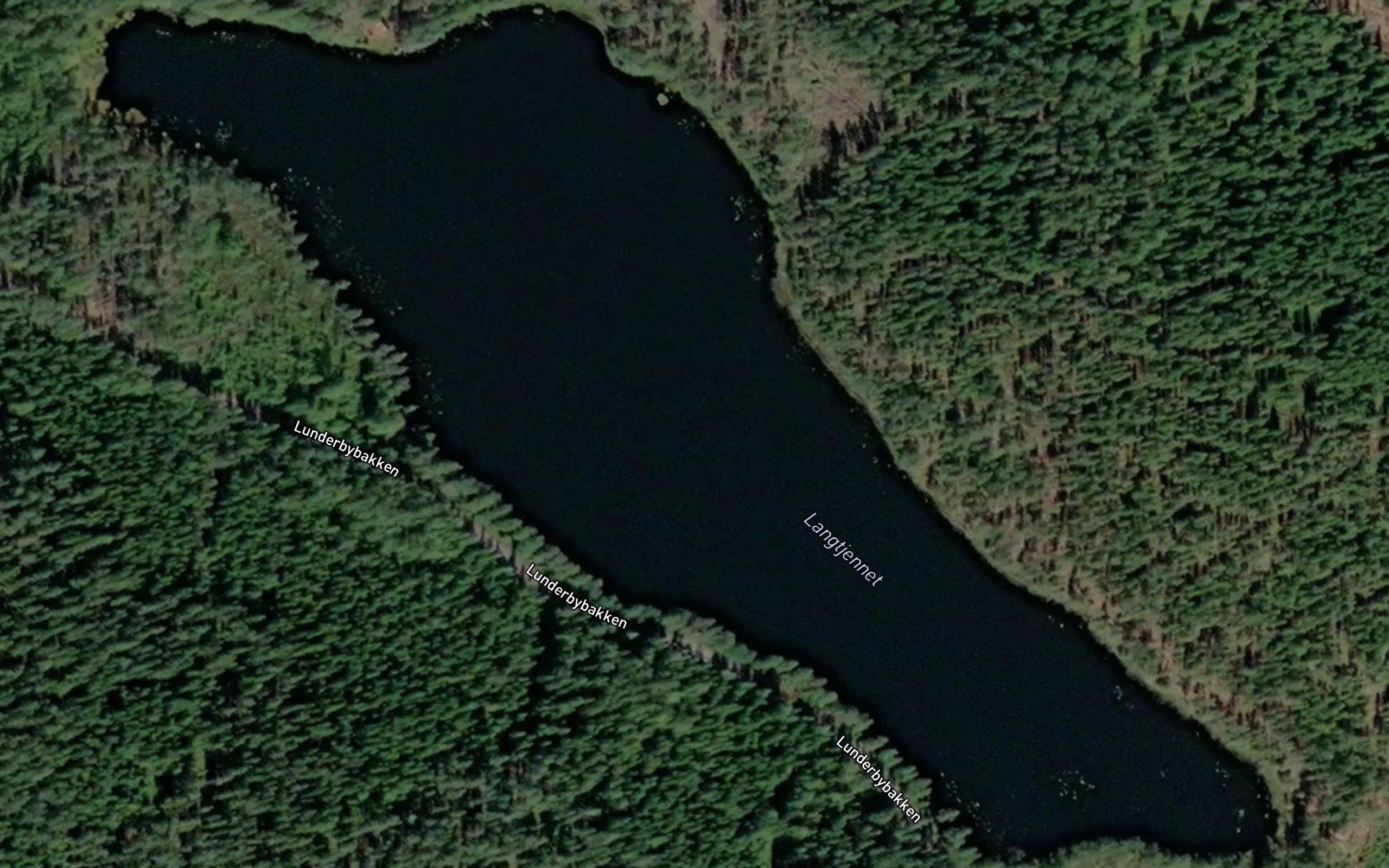 Langtjern