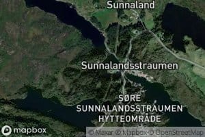 Kvednavika