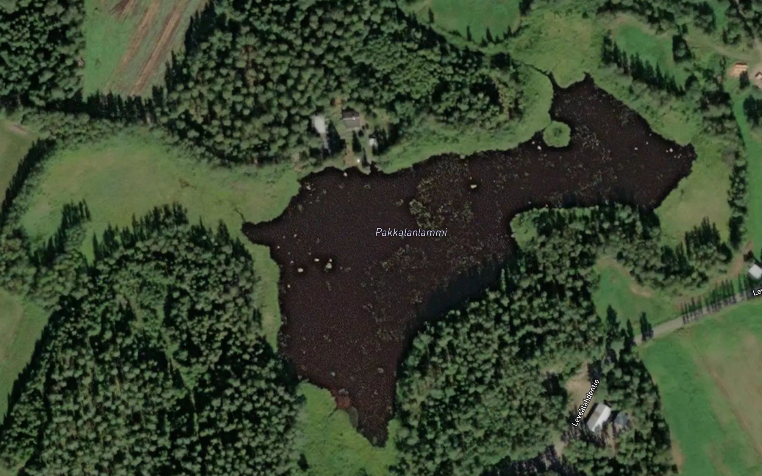 Pakkalanlammi