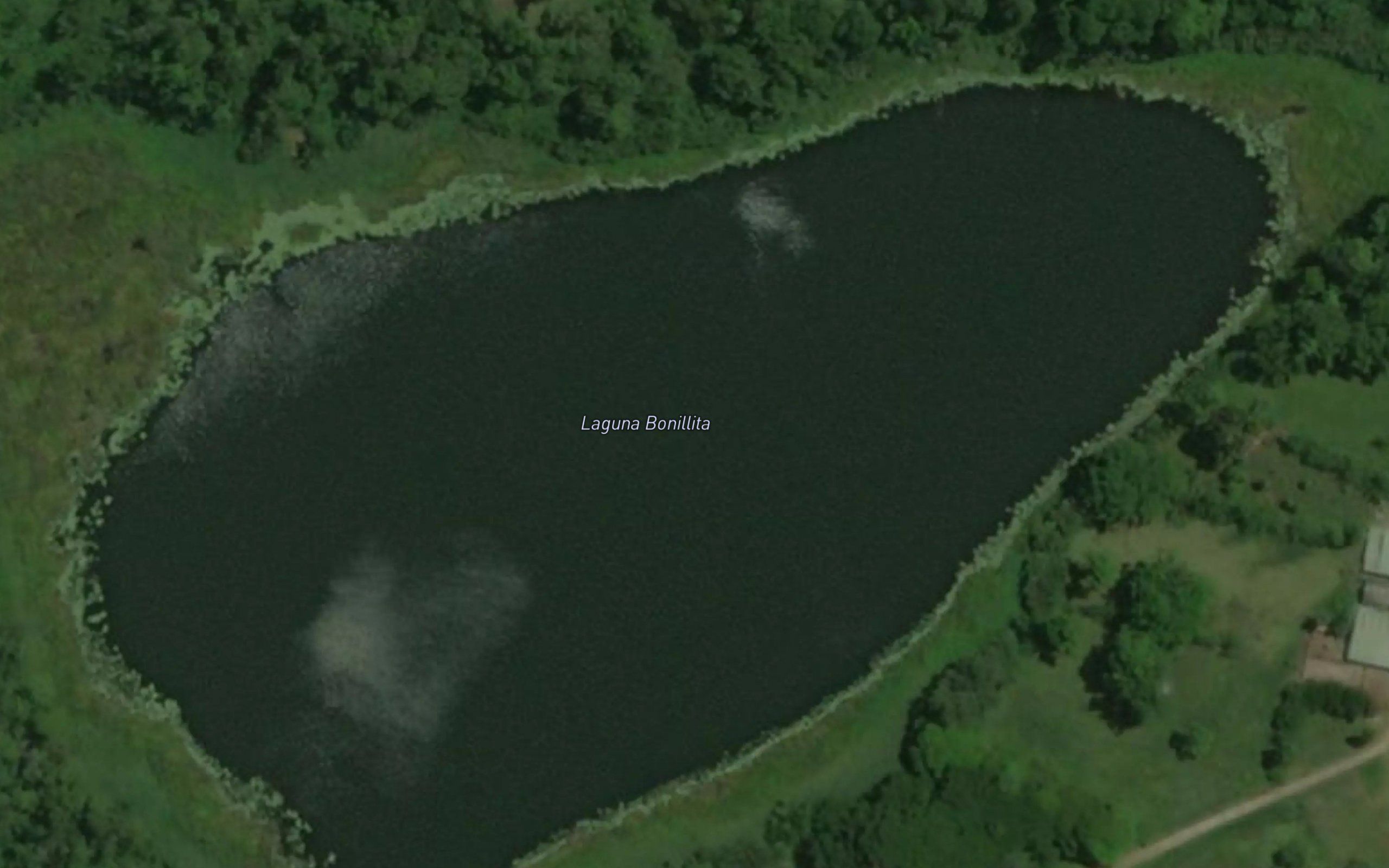 Laguna Bonillita