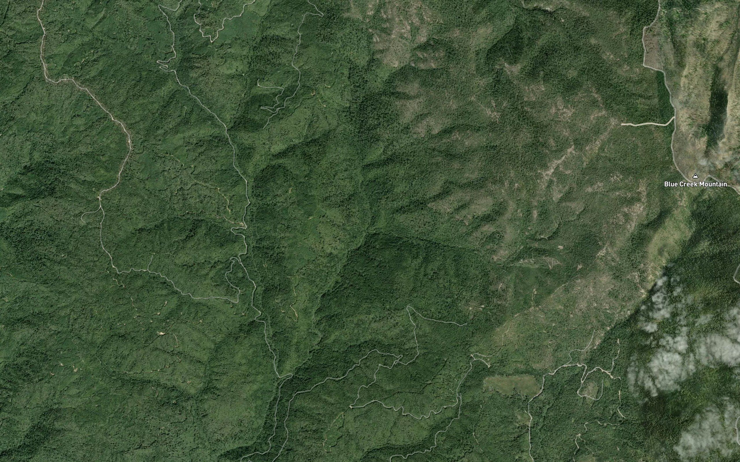Buzzard Creek