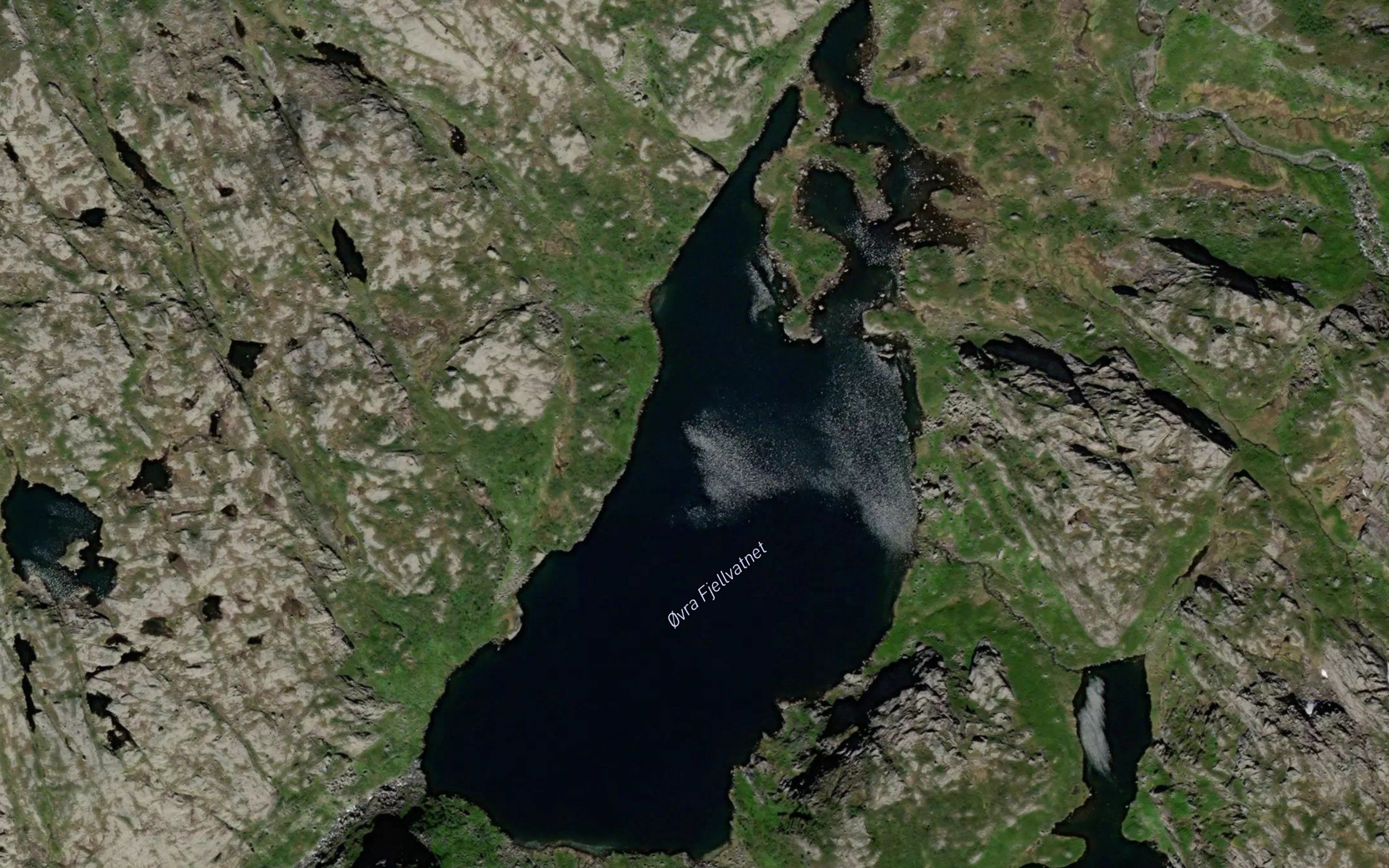 Fjellvatnet