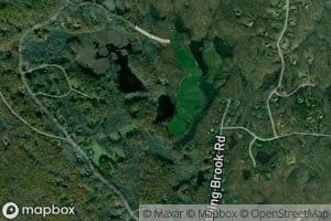 Vincent Pond
