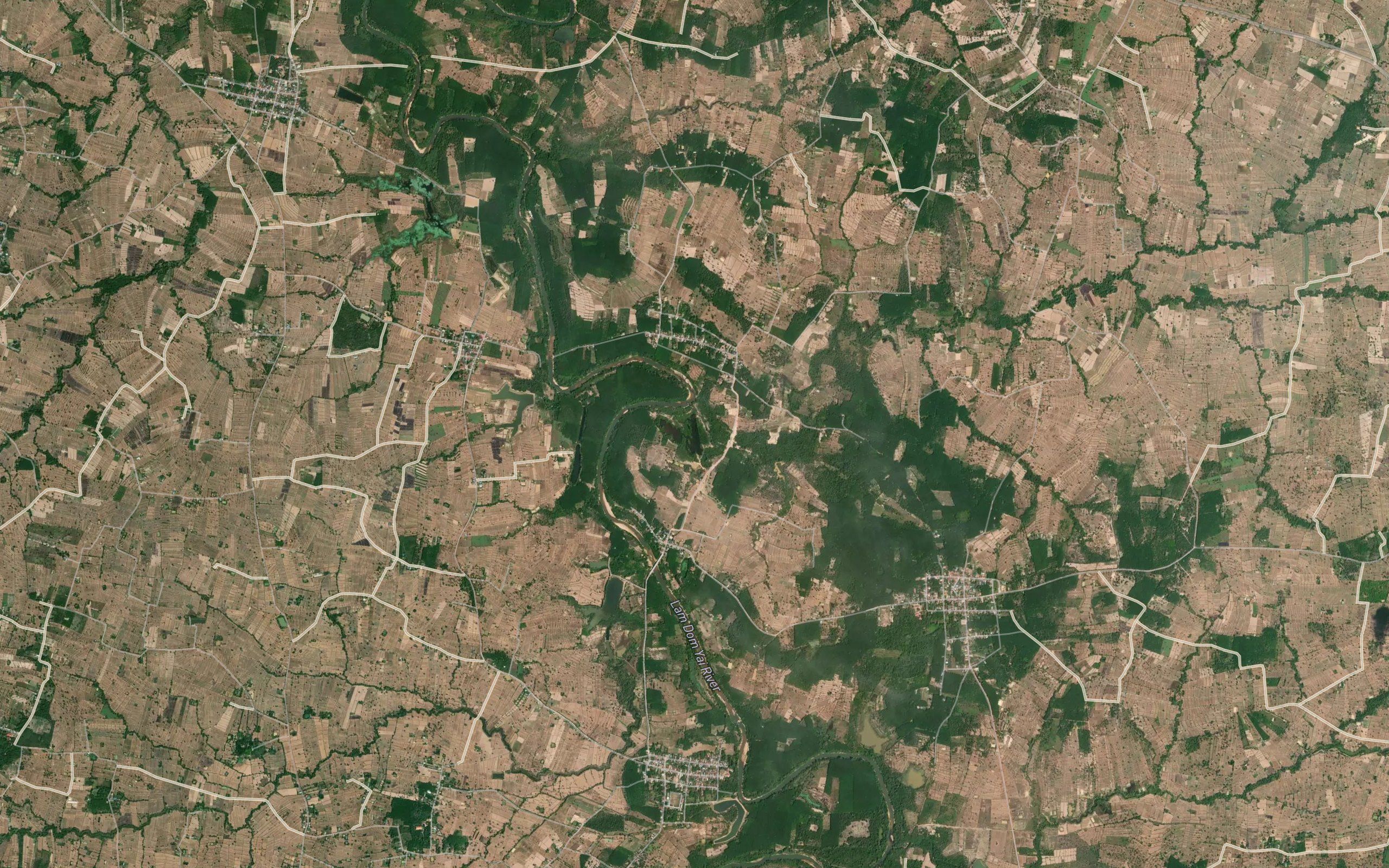 Nong Yang