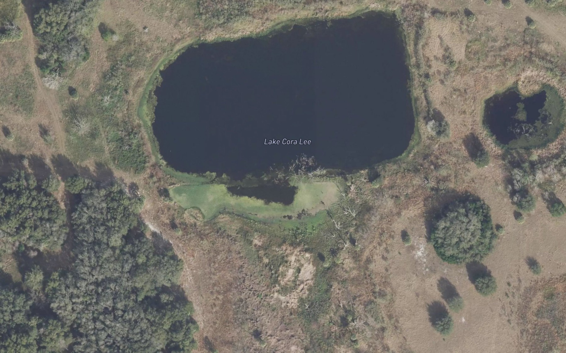 Satellite map of the Lake Cora Lee