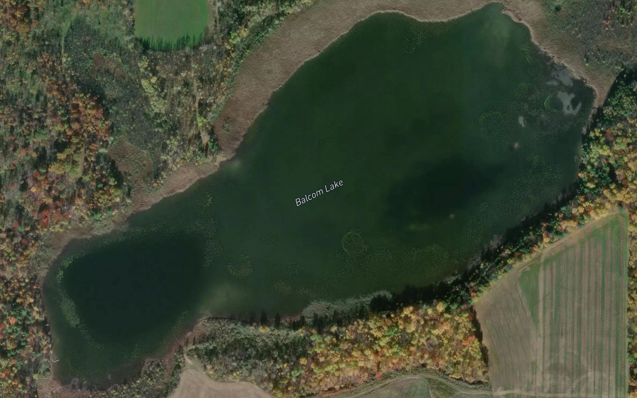 Balcom Lake