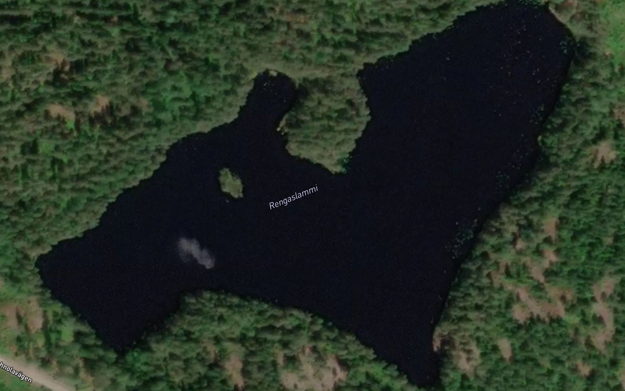 Rengaslammi