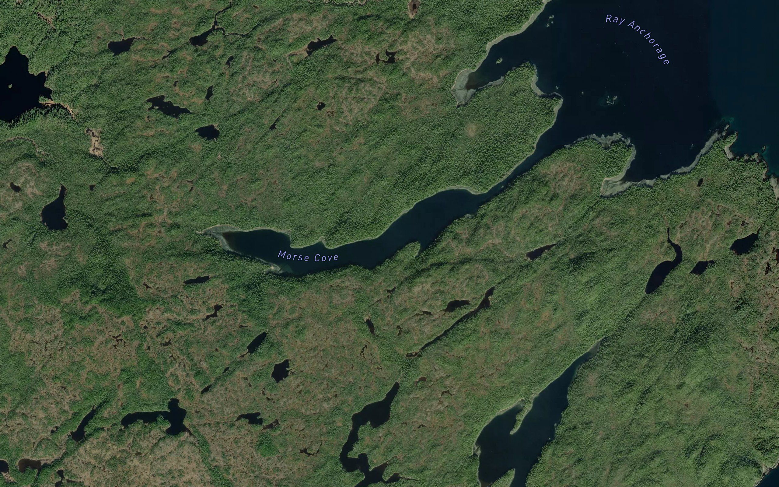 Morse Cove