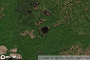 Bog Lake