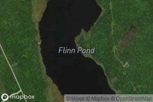 Flinn Pond