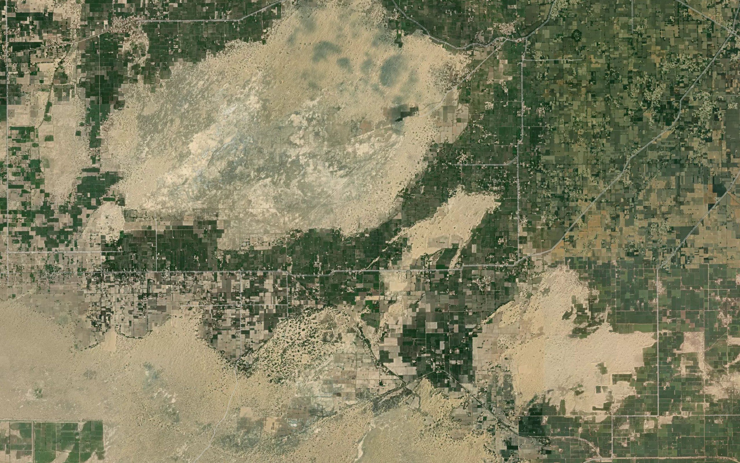 Pakhkhi Four Left Minor