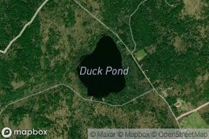Duck Pond