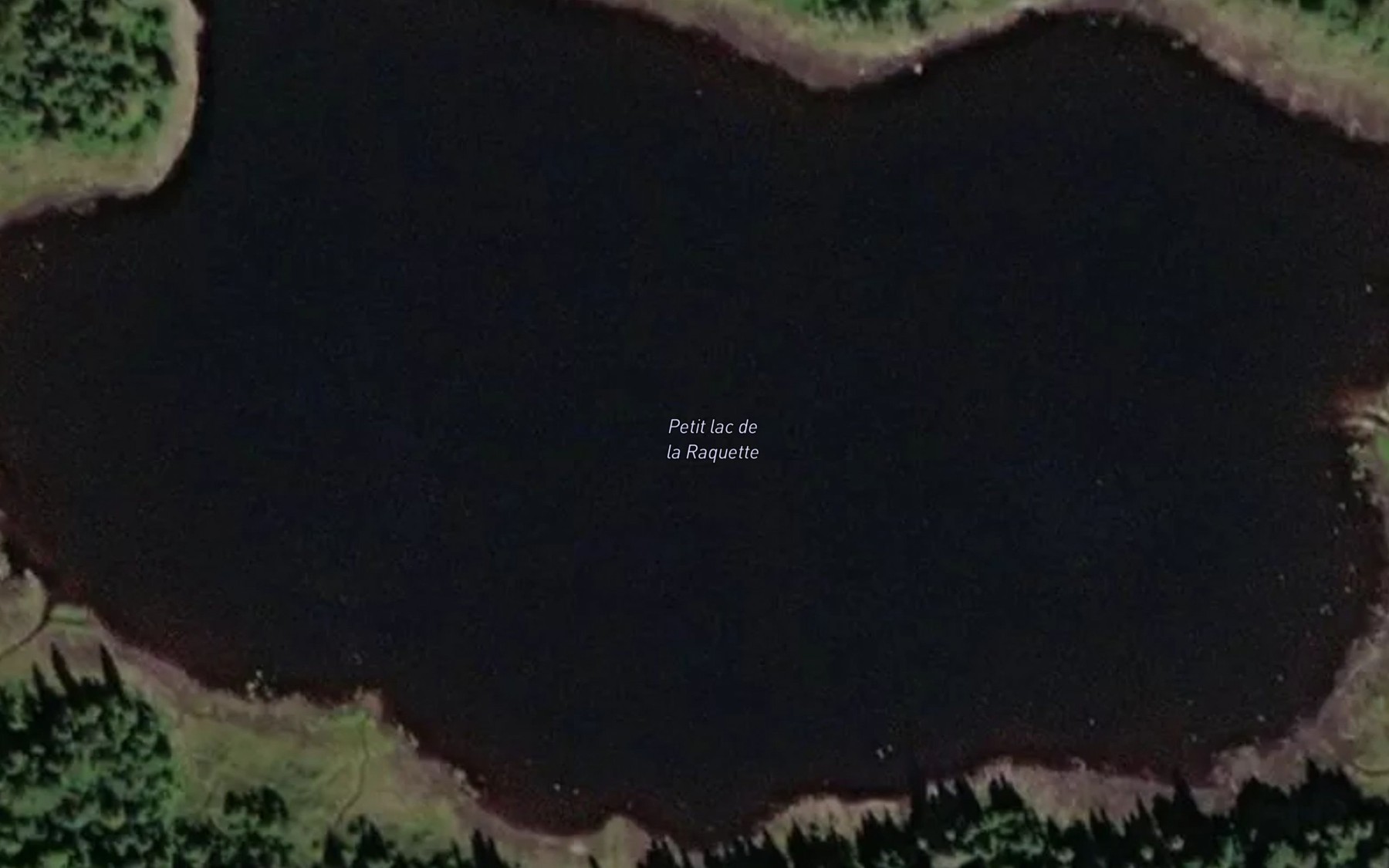 Satellite map of the Petit lac de la Raquette