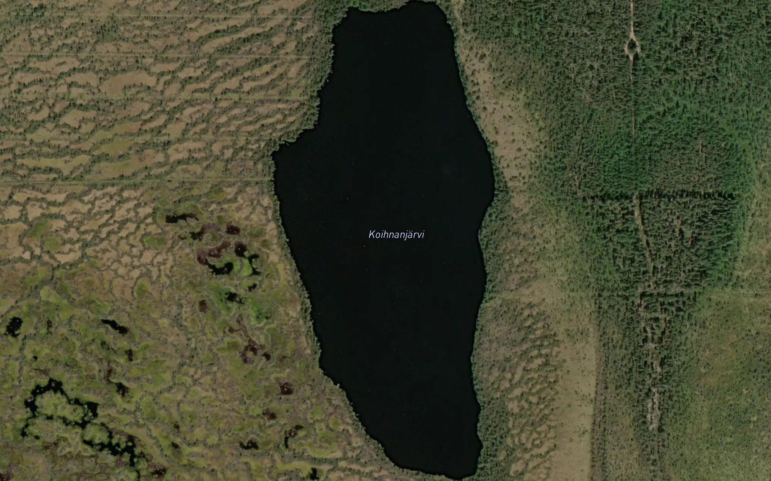 Koihnanjarvi