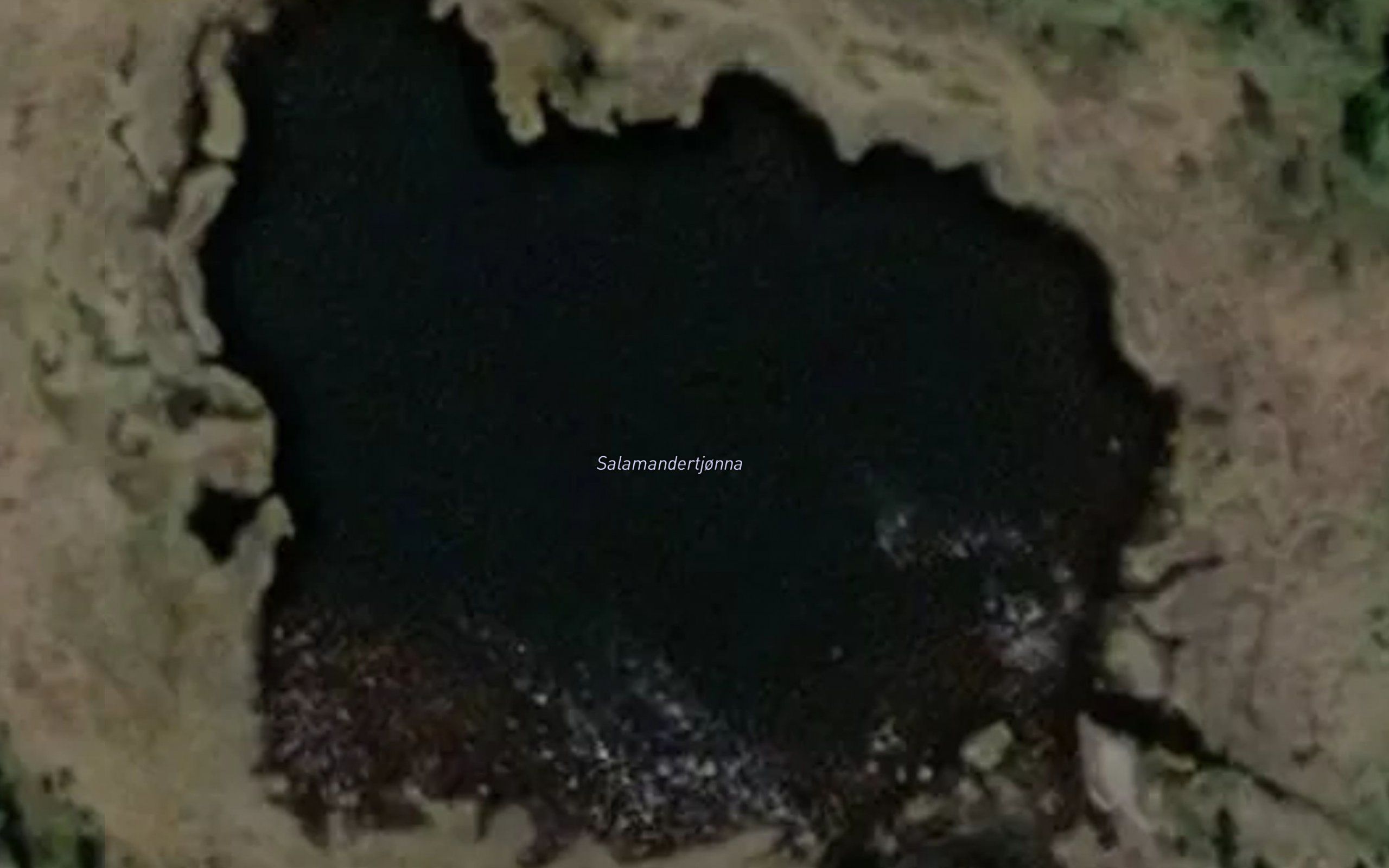 Salamandertjonna
