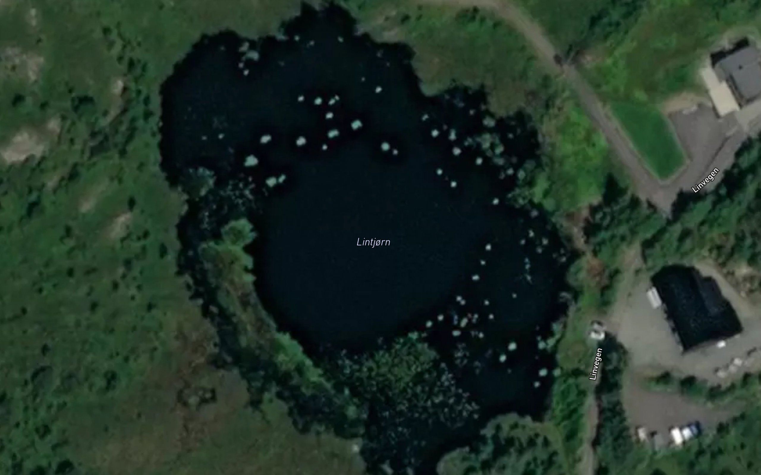 Lintjorn