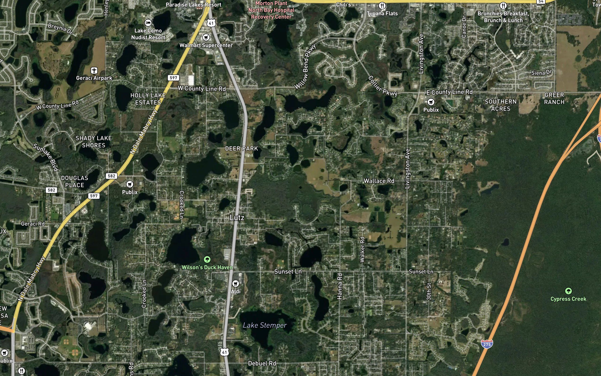 Swamp Lake