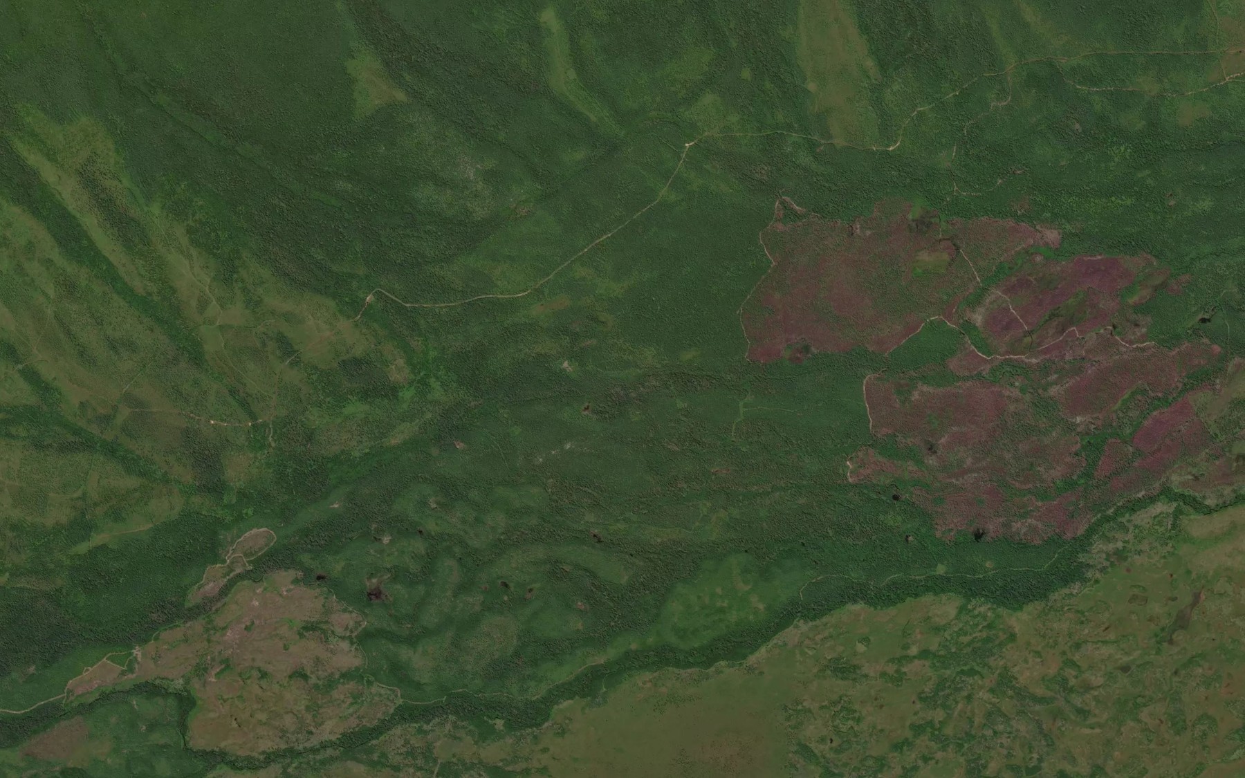 Satellite map of the Bolotnyy