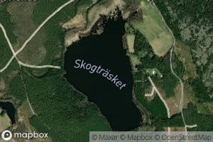 Skogtrasket