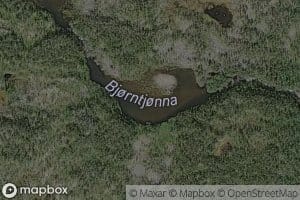 Bjorntjonna