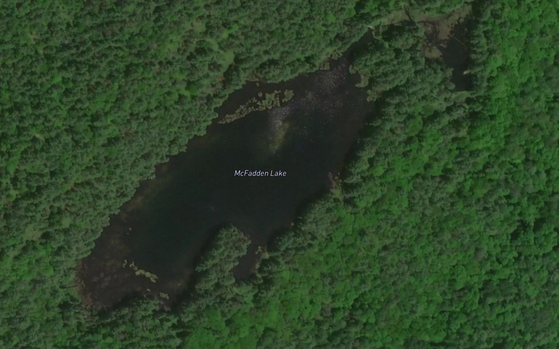 Satellite map of the McFadden Lake
