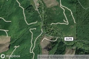 Alder Creek