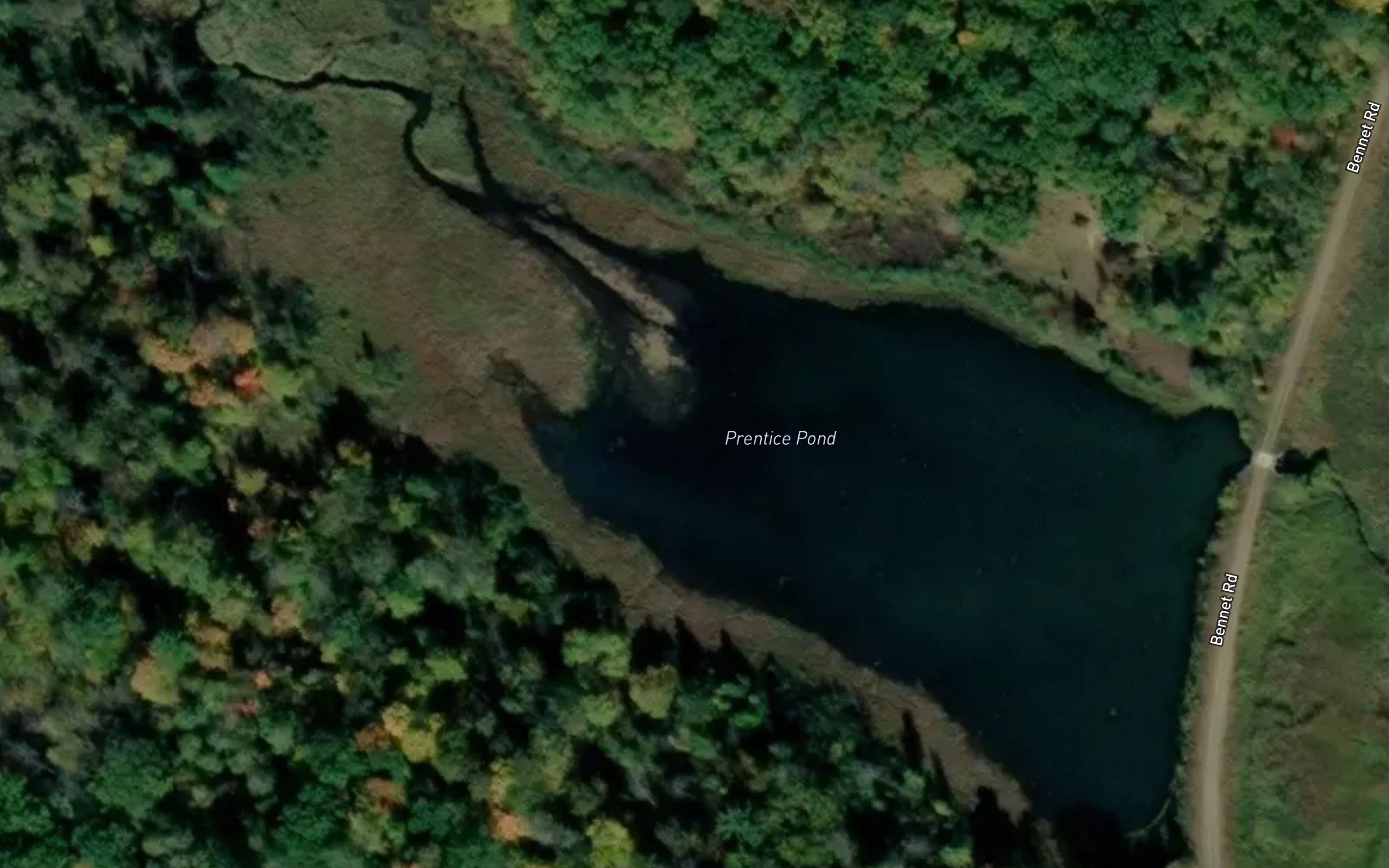 Prentice Pond