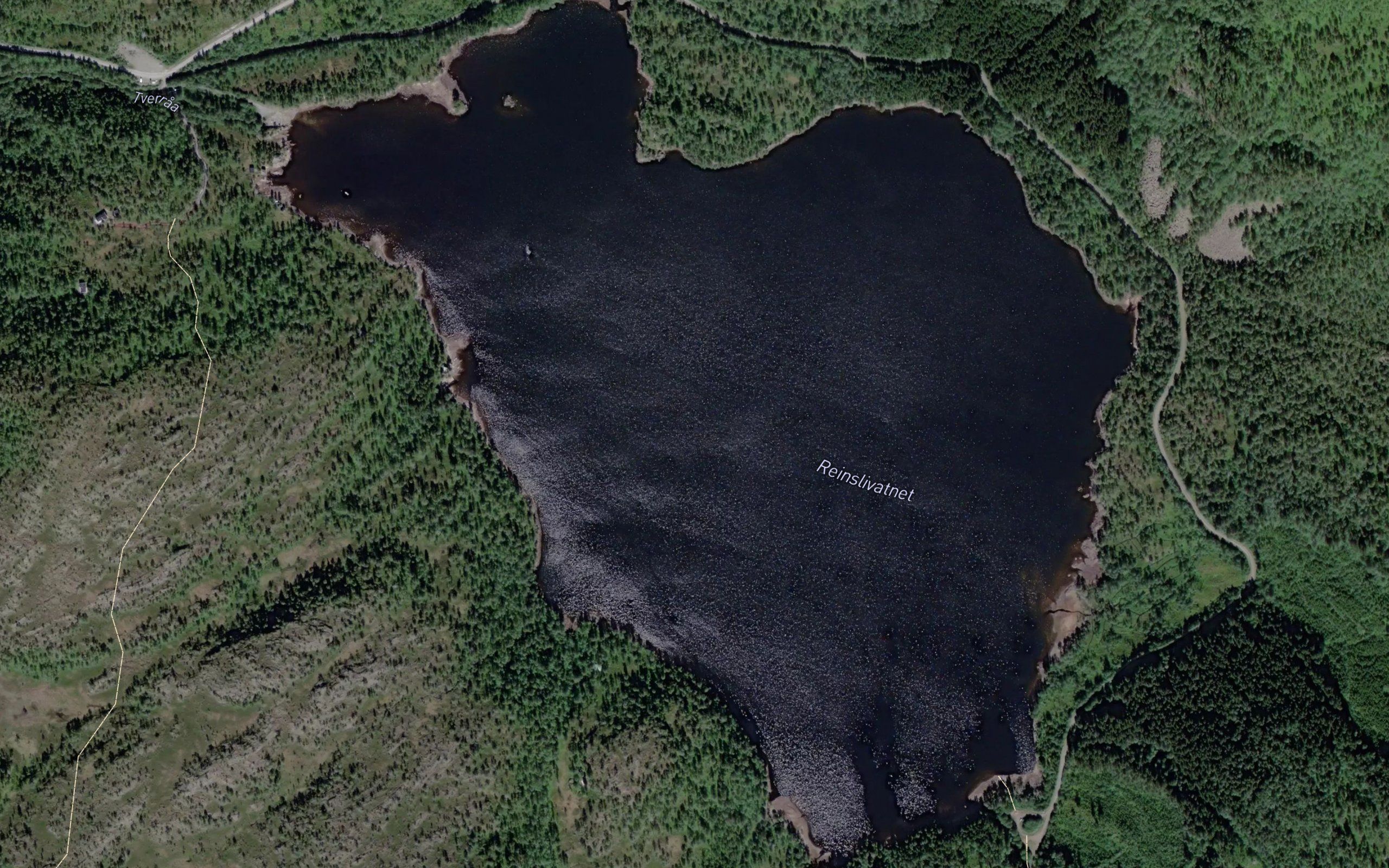 Reinslivatnet