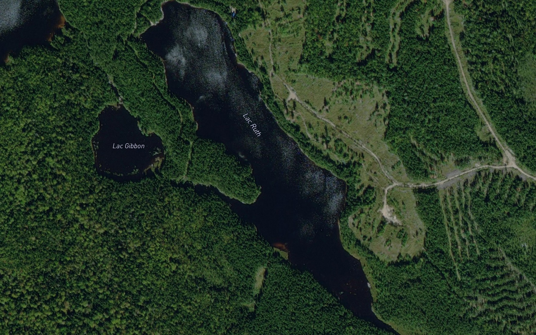 Satellite map of the Lac Ruth