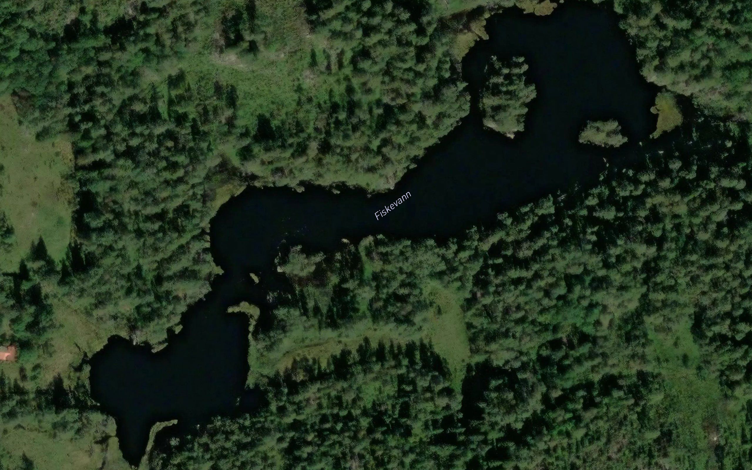 Fiskevann