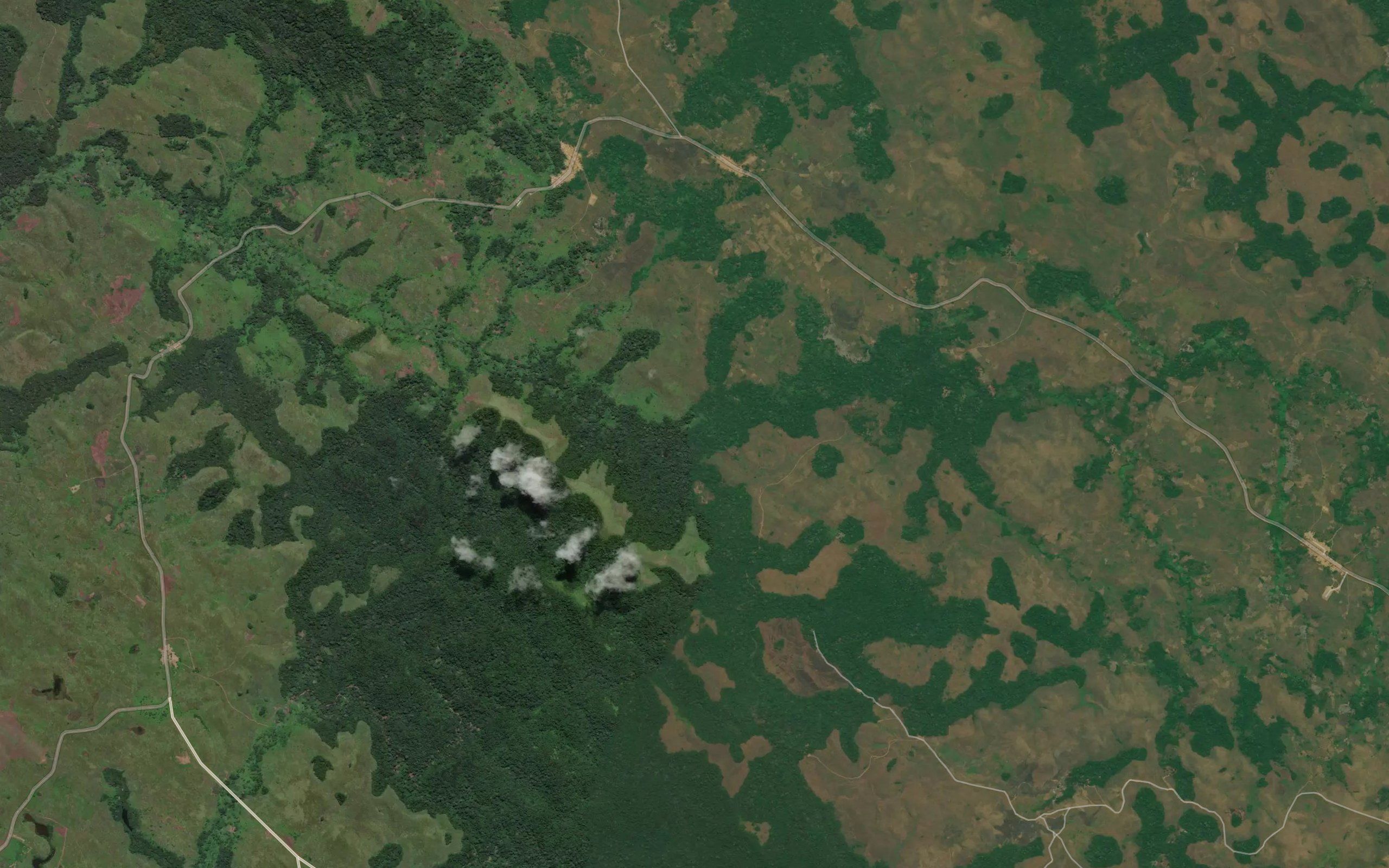 Vuenga
