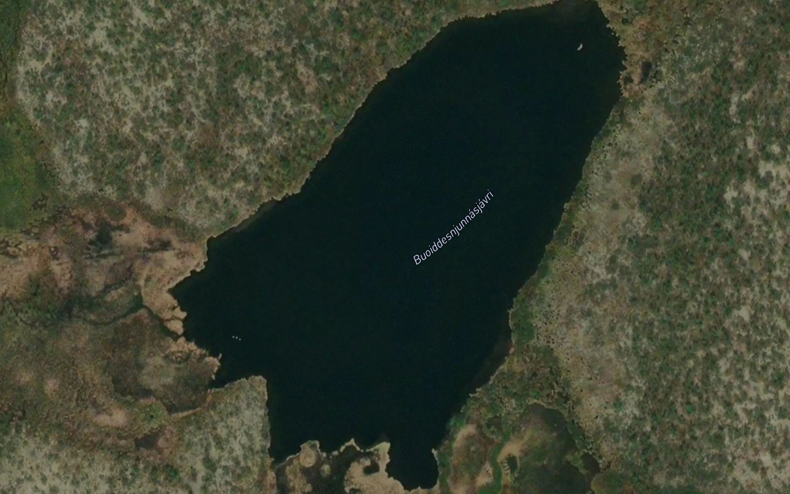 Buoidesnjunnasjavri