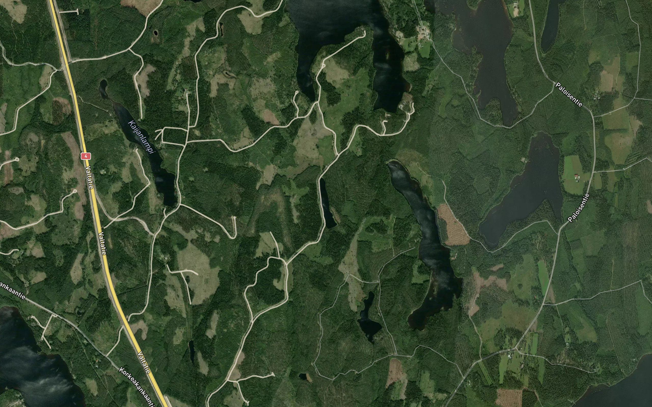 Tuohilampi