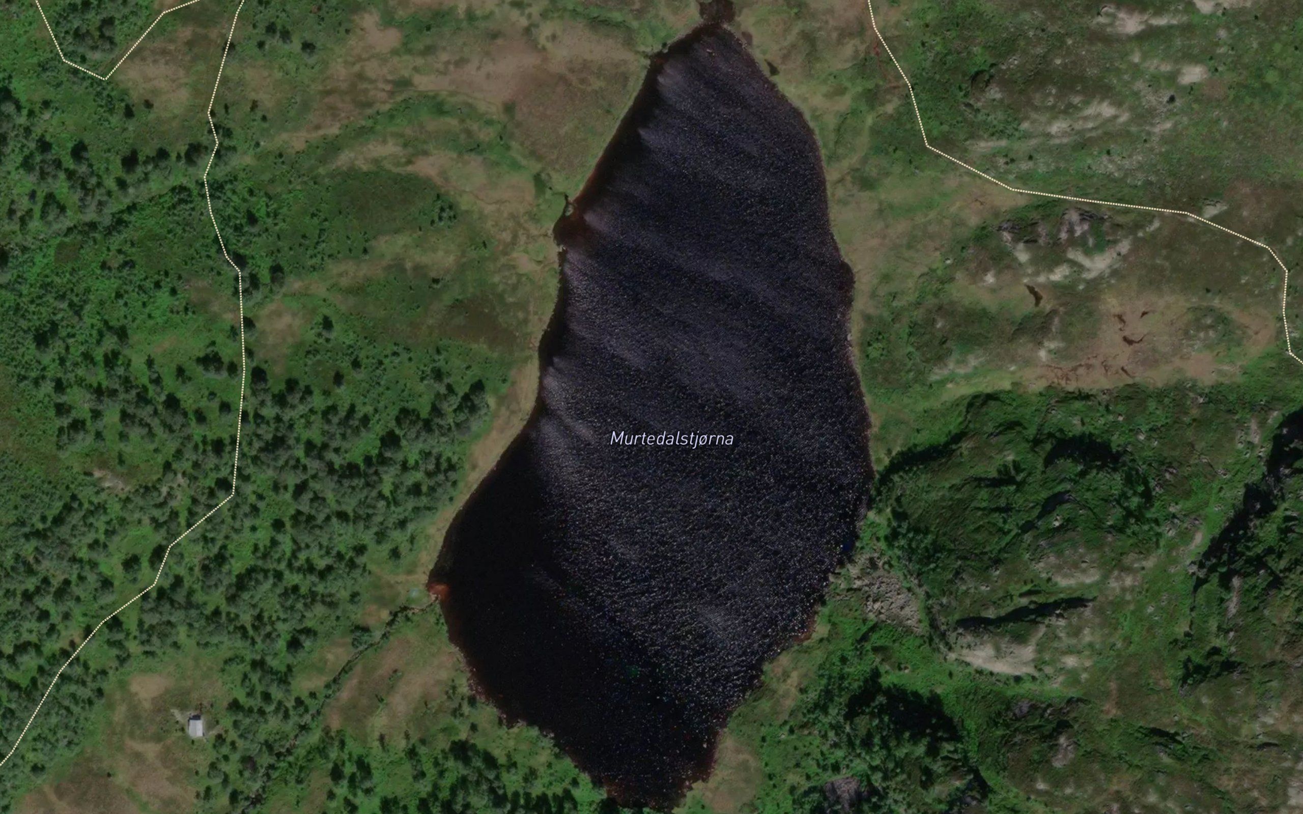 Grastjorn