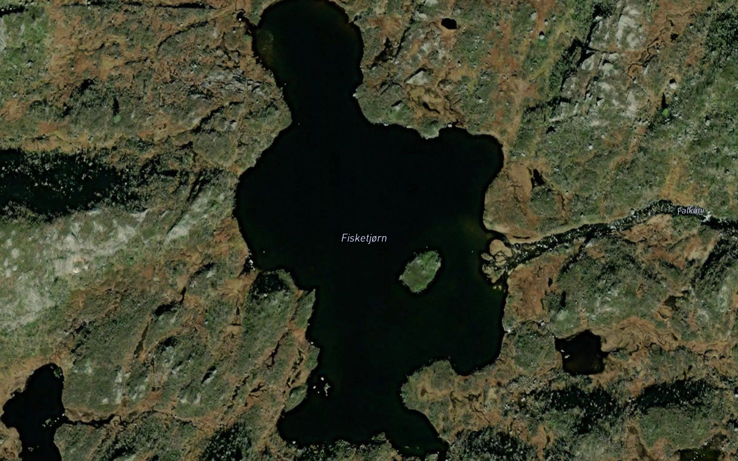 Fisketjorn