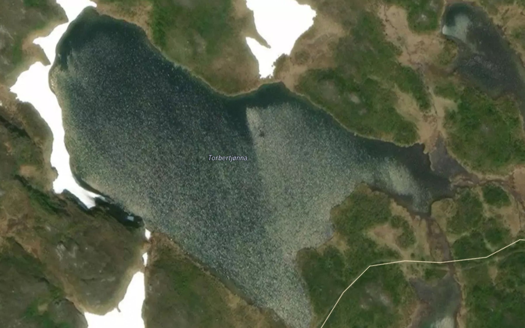 Satellite map of the Torbergtjorna