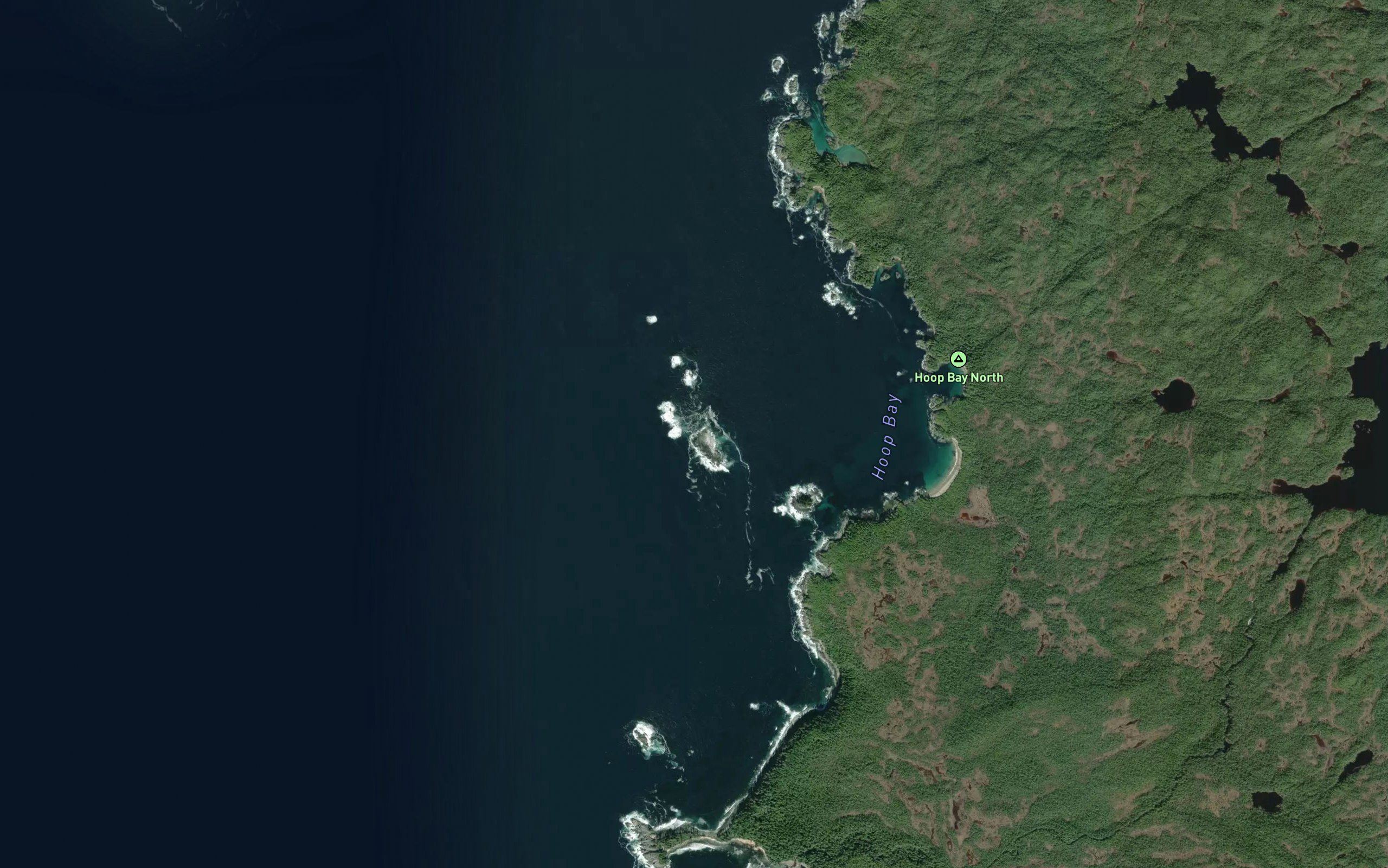 Hoop Reef