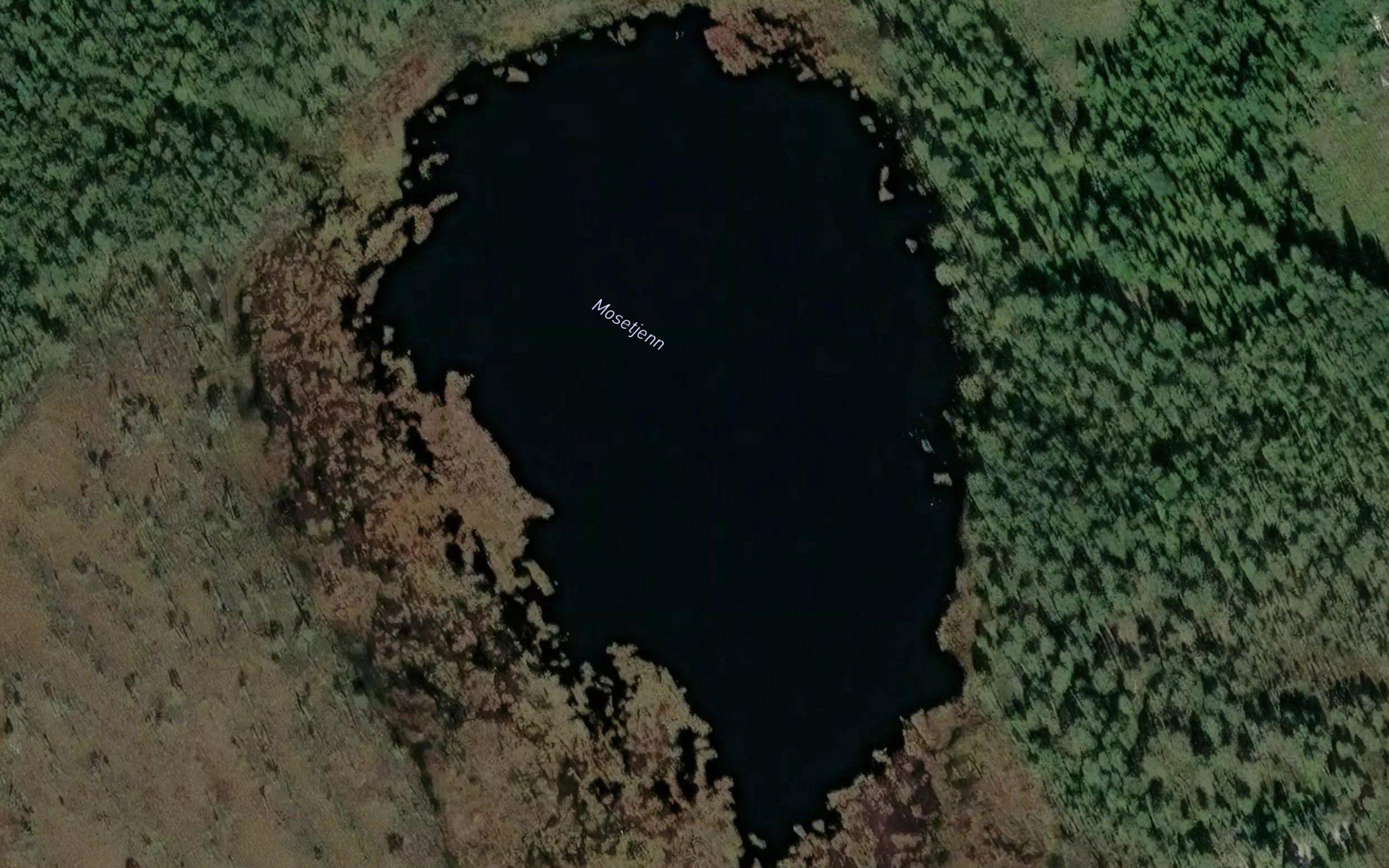 Mosetjern