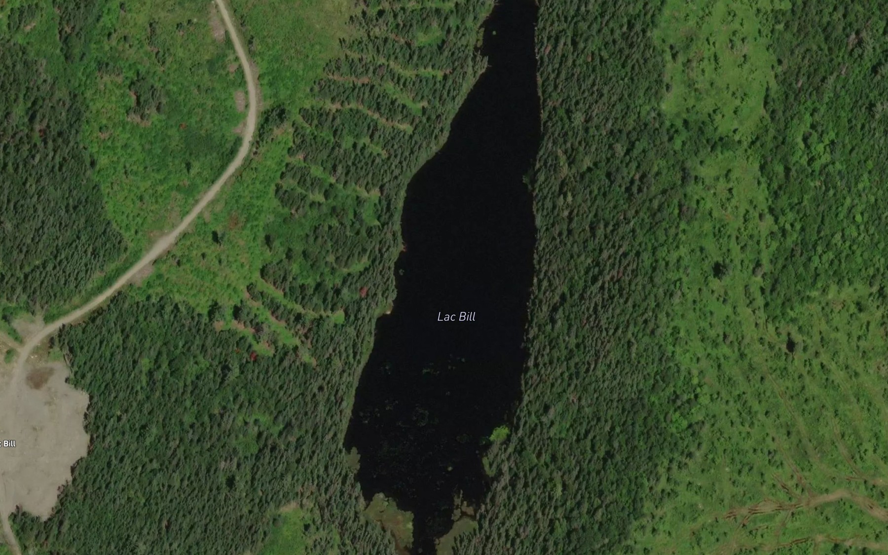 Satellite map of the Lac Bill
