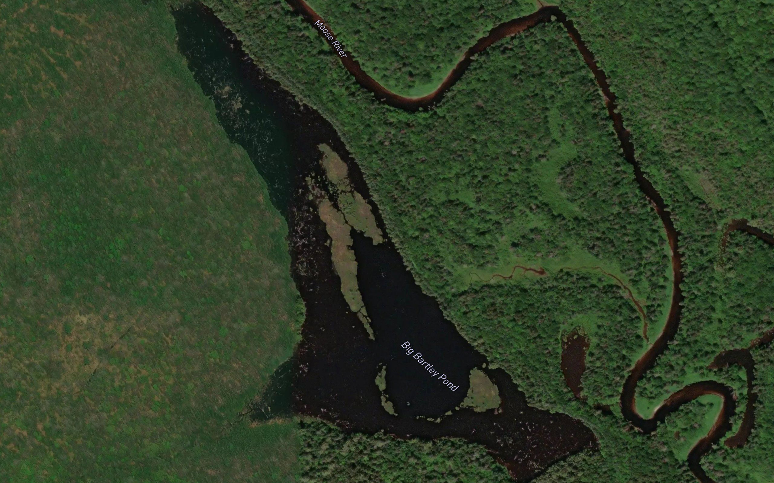 Big Bartley Pond