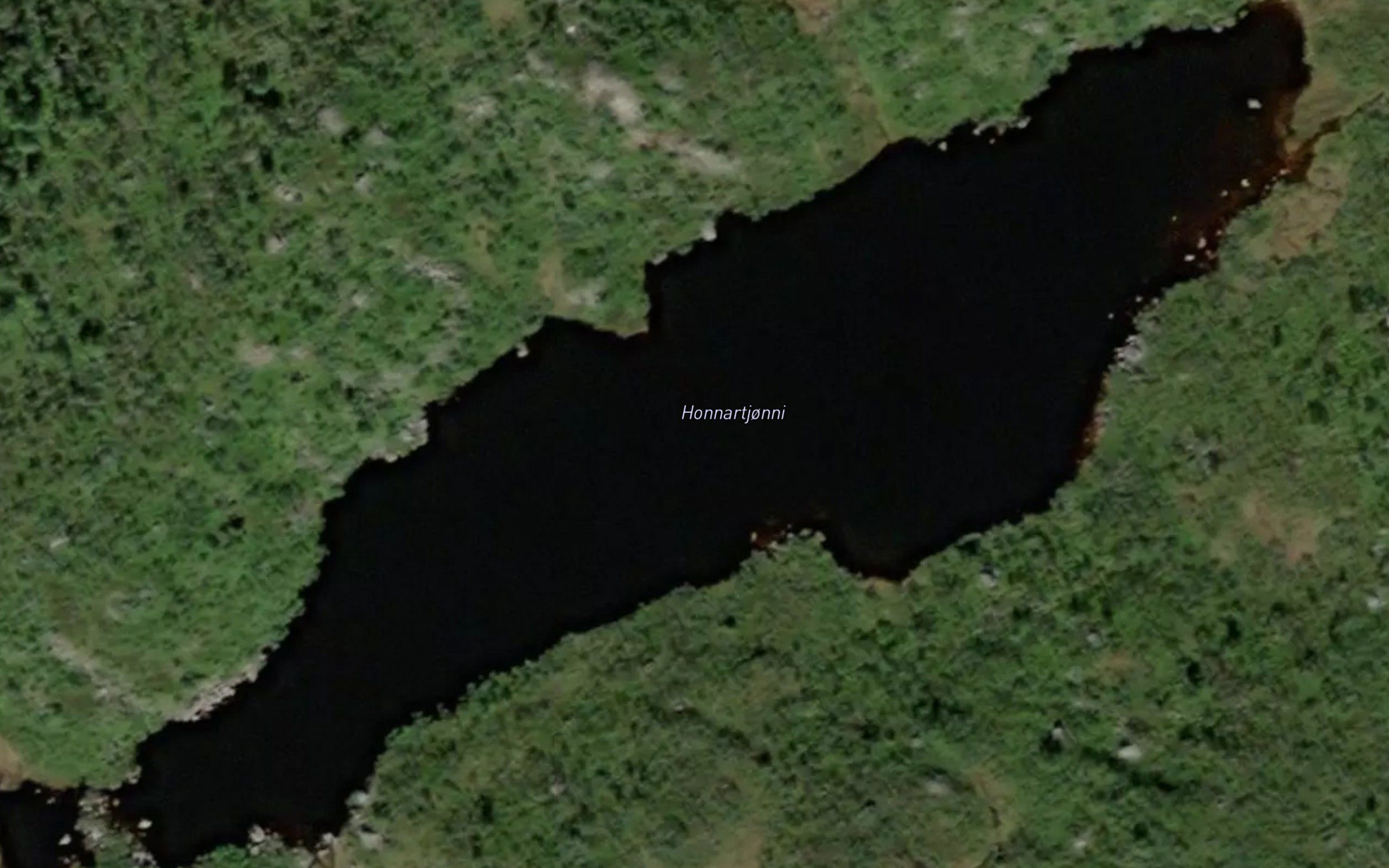 Honnartjorni