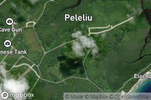 South mangrove Swamp Northeast