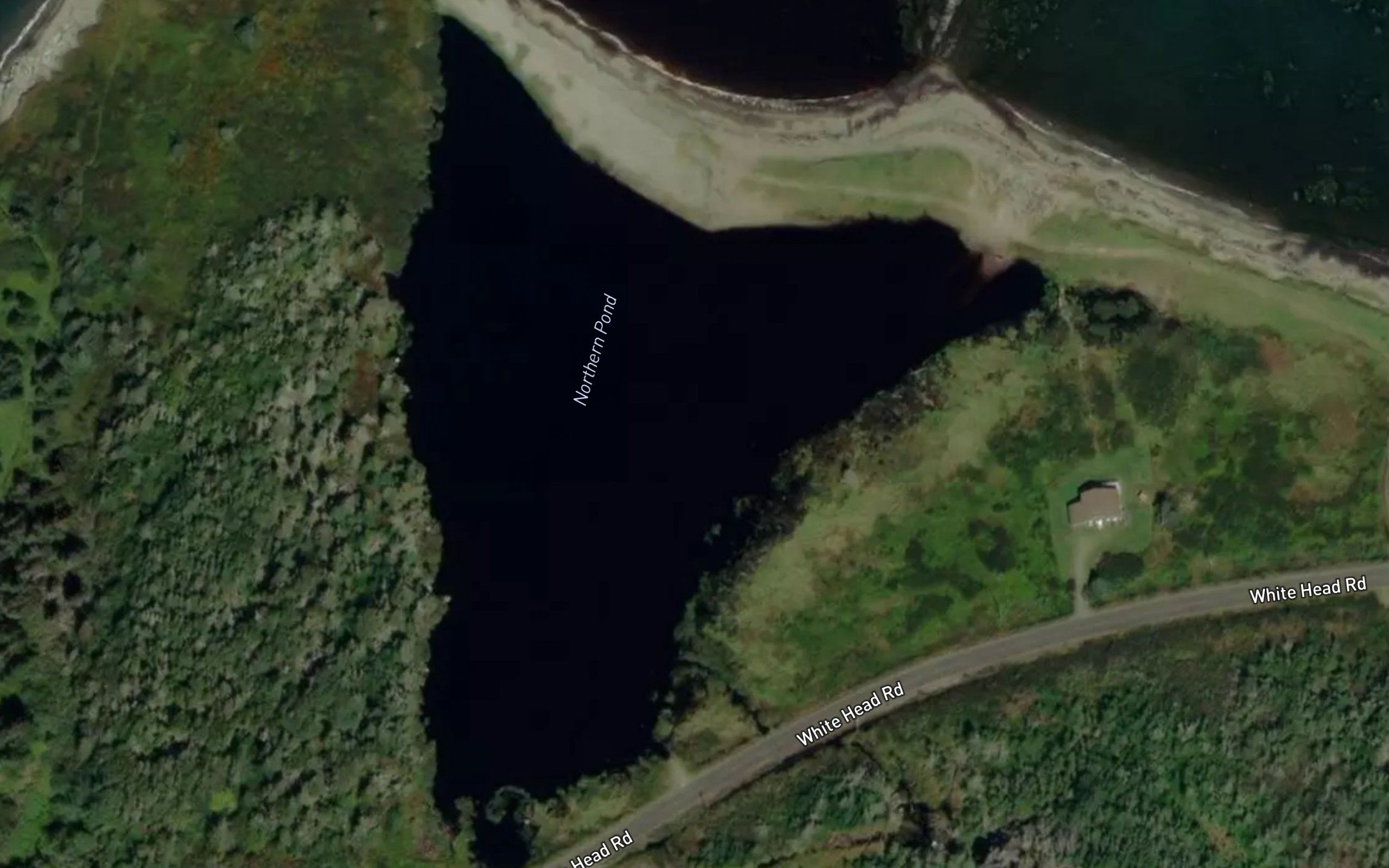 Northern Pond