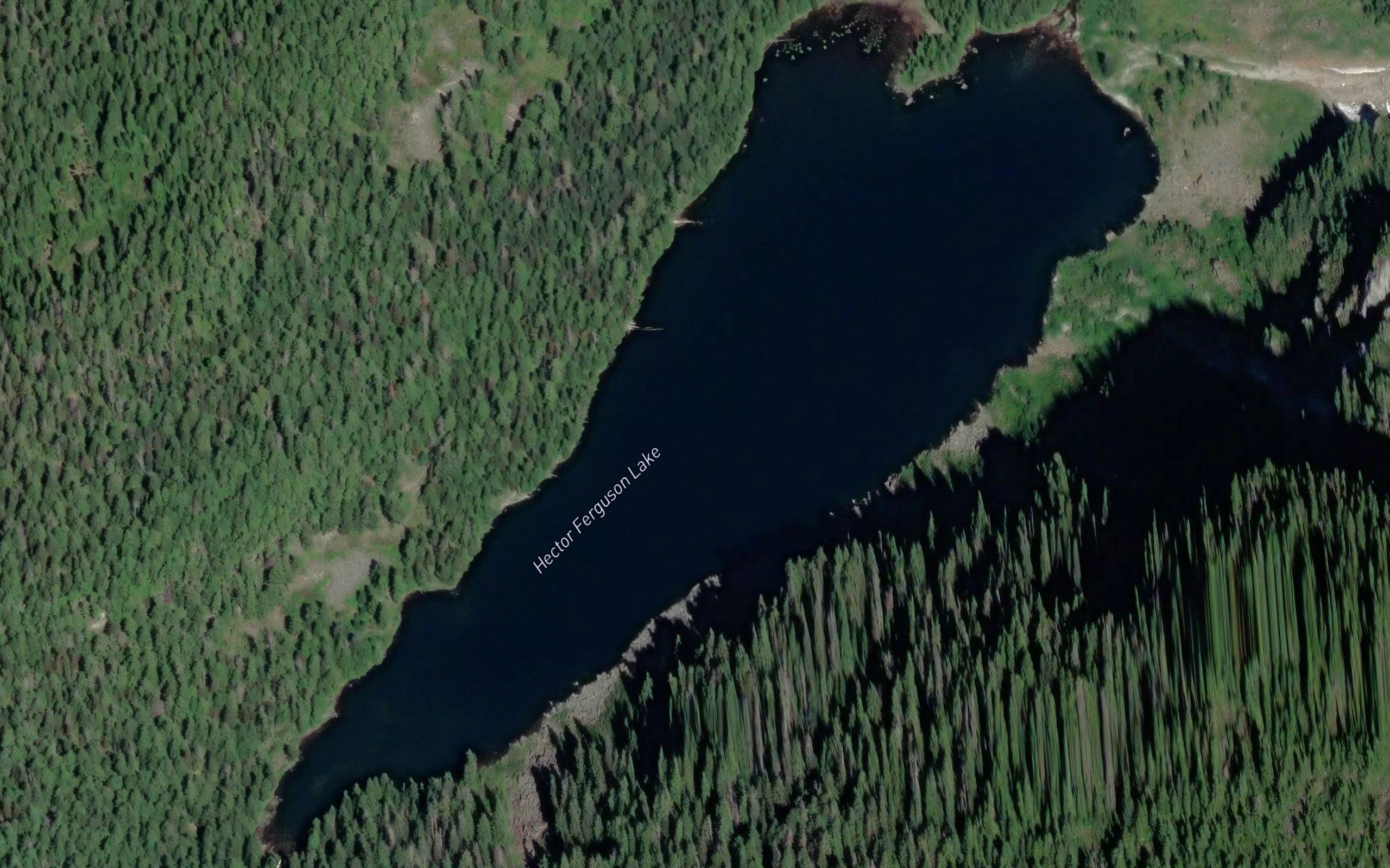 Hector Ferguson Lake