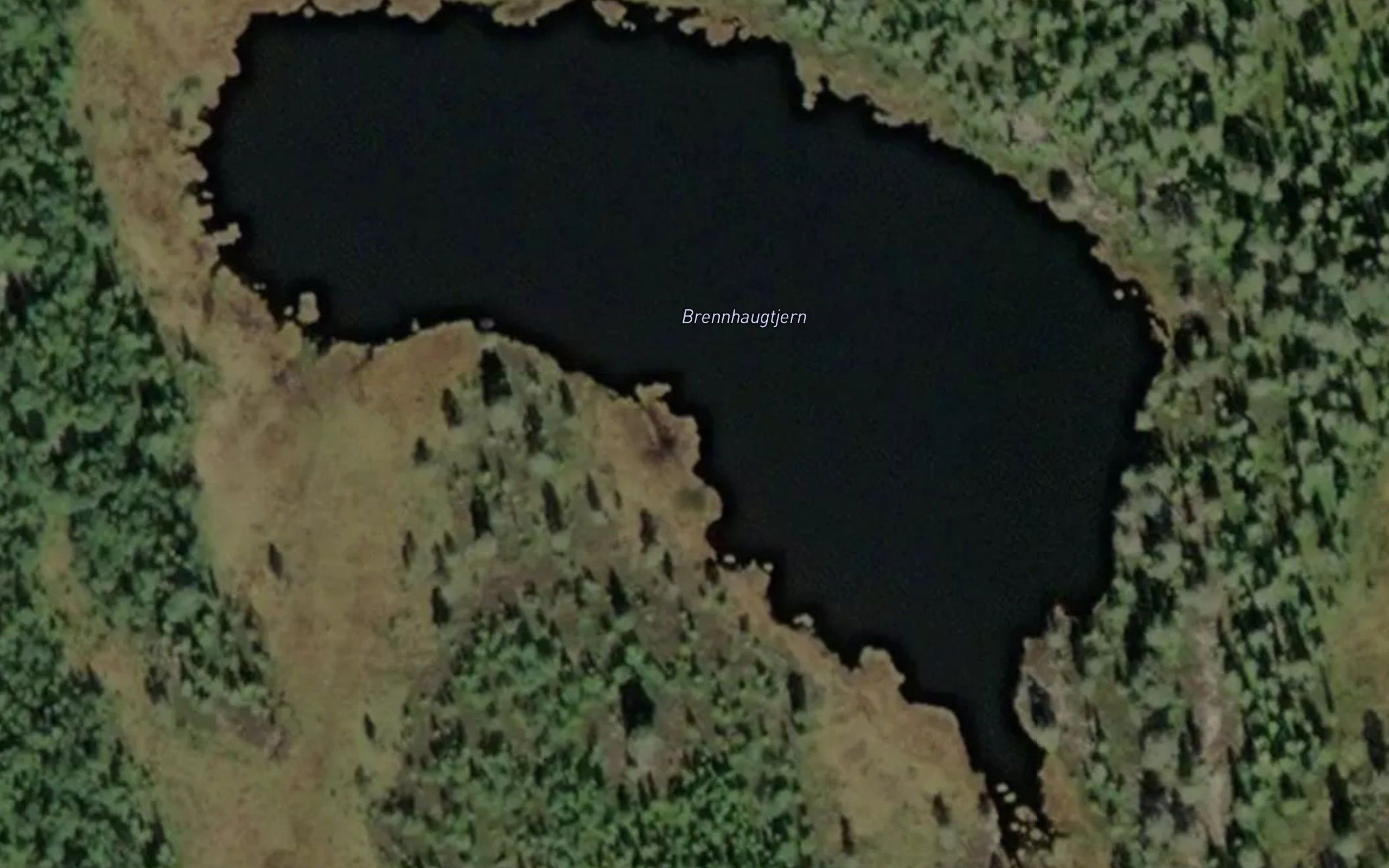 Brennhaugtjenn