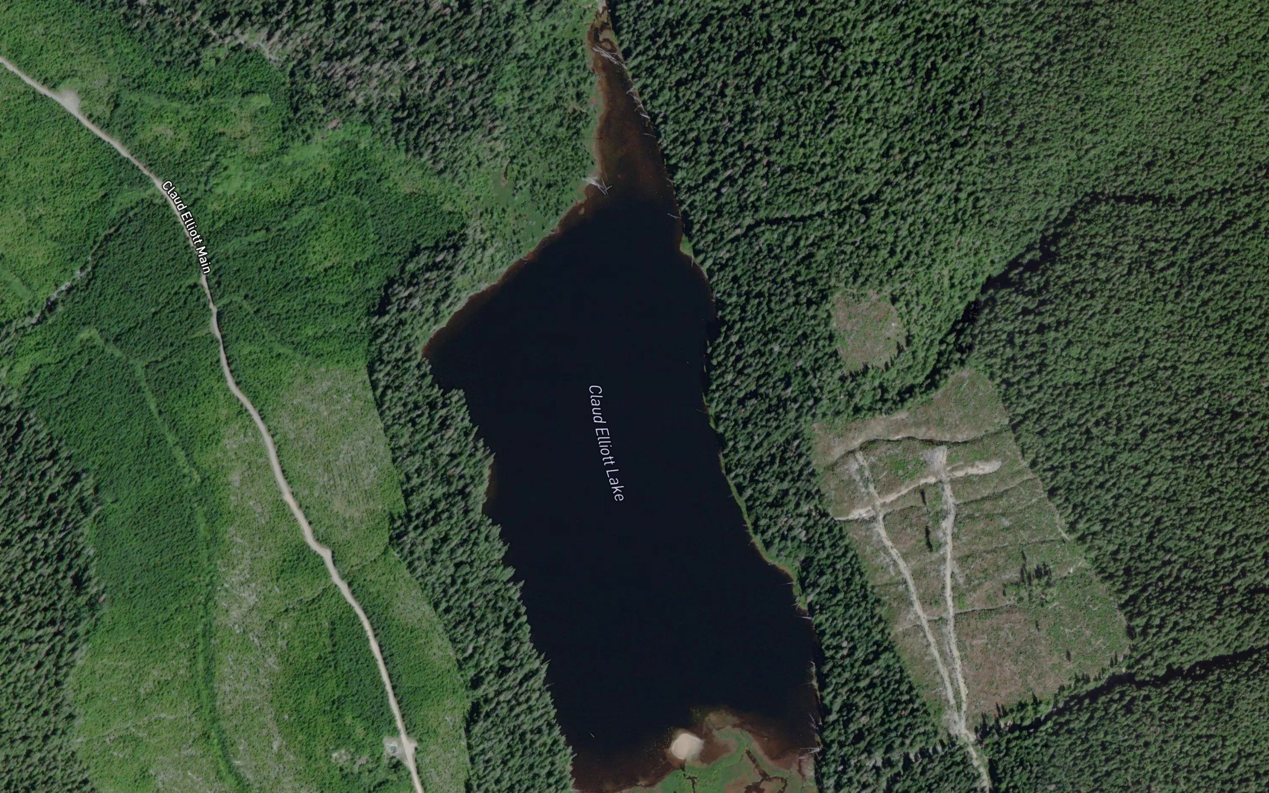 Claud Elliott Lake