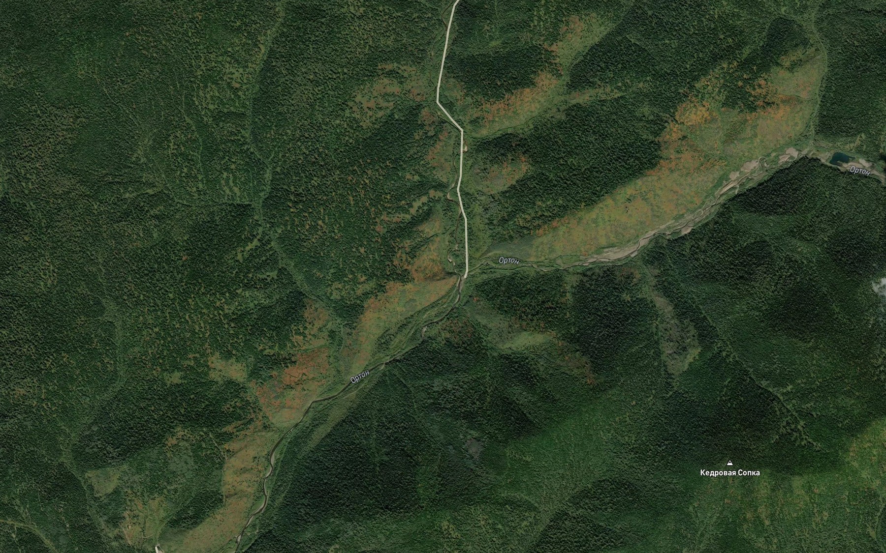 Satellite map of the Bol'shoy Orton
