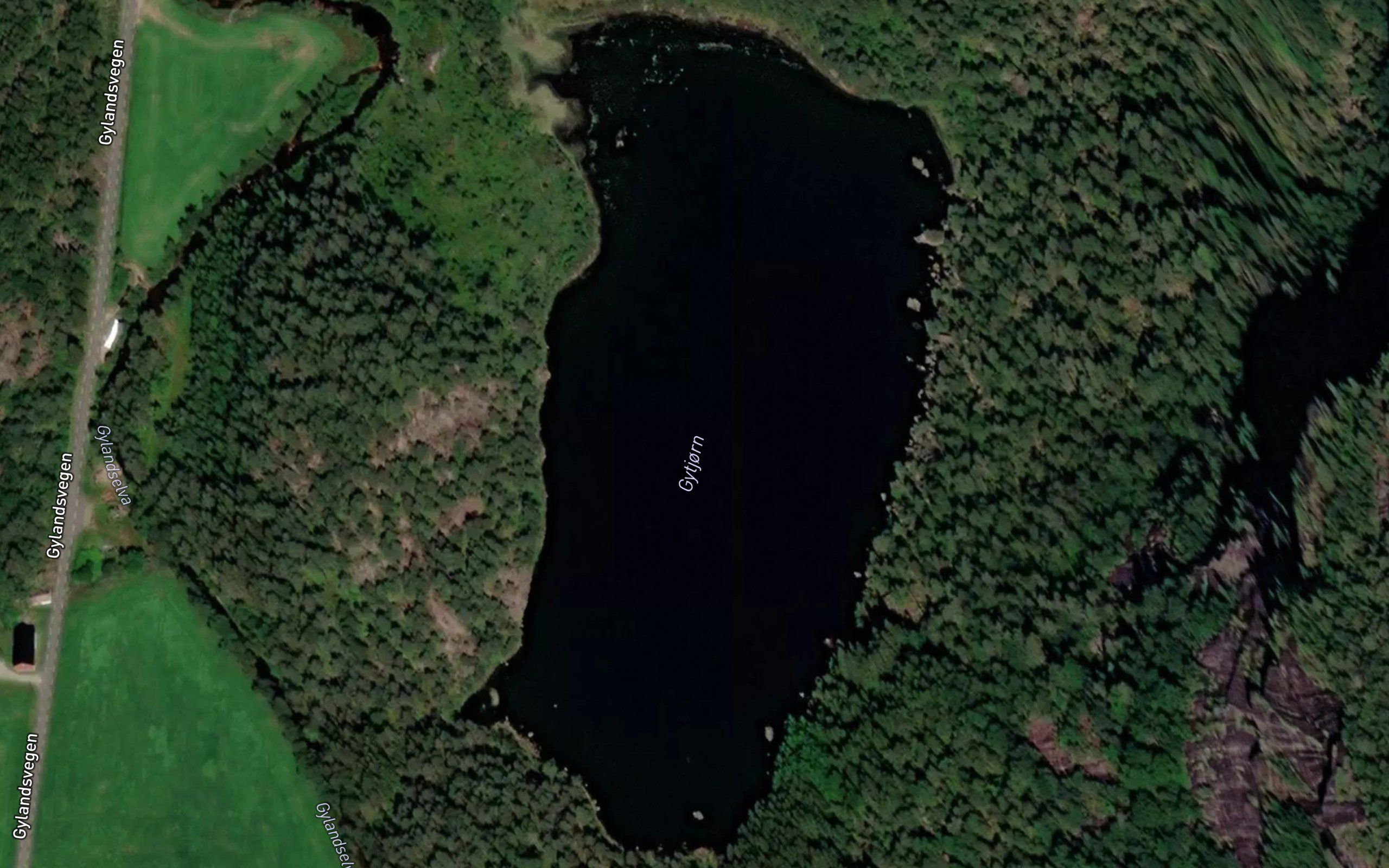 Gytjorn