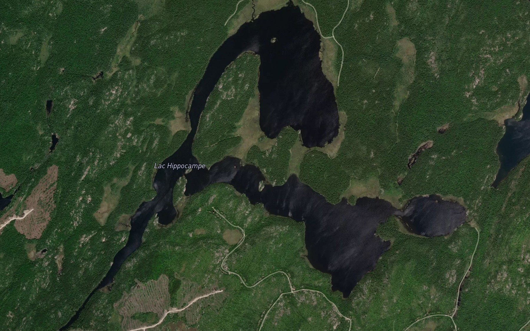 Satellite map of the Lac Hippocampe