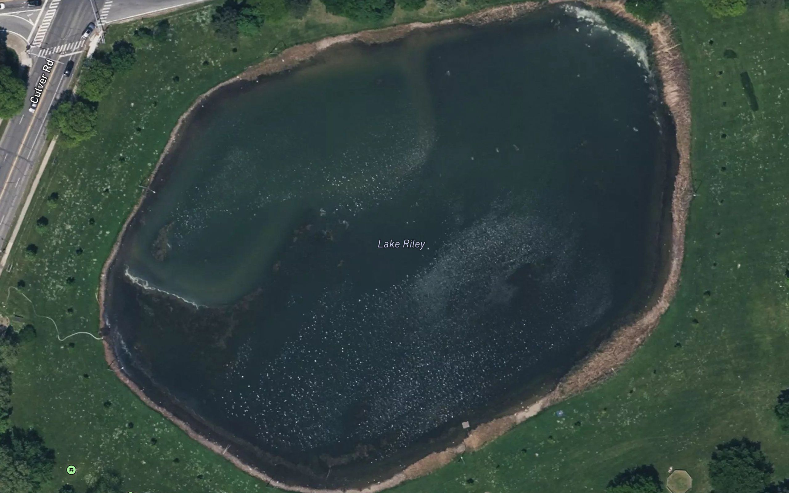 Lake Riley